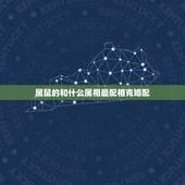 属鼠的和什么属相最配相克婚配(十二生肖之属鼠的婚配指南)