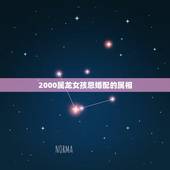 2000属龙女孩忌婚配的属相，属龙的女生2000年的和什么属相的男生最