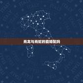 肖龙与肖蛇的能婚配吗，肖龙与肖蛇配婚有何利弊？