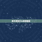 属牛男和什么属相最配，男属牛配什么生肖更好