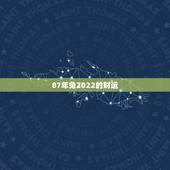87年兔2022的财运，算一算兔今年的财运