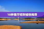 10种客厅招财植物推荐，客厅摆放什么植物好 5种客厅招财植物
