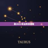 属2022年运势及运程，1972属鼠2021年运势及运程