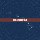 紫微斗数暴富格局，紫微斗数：这是什么格局，请详细解释下，请勿复制，谢谢