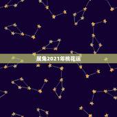 属兔2021年桃花运，2021年兔子的运势如何