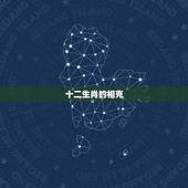 十二生肖的相克，十二生肖相生相克图表
