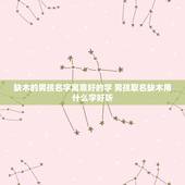缺木的男孩名字寓意好的字 男孩取名缺木用什么字好听