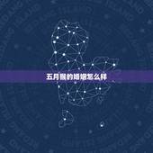 五月猴的婚姻怎么样，属猴5月出生好不好