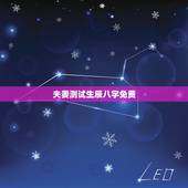 夫妻测试生辰八字免费，免费测生辰八字命运