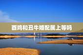 酉鸡和丑牛婚配属上等吗，属鸡和什么属相合才
