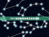 1971年的猪男未来五年的运程，1971年属猪下半年的运势
