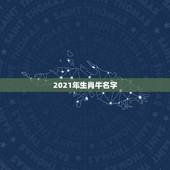 2021年生肖牛名字，2021年属牛的男孩叫什么名字