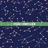 1996年11月属什么生肖，1996年11月28日出生是什么命