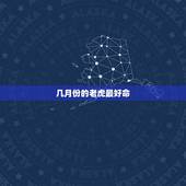 几月份的老虎最好命 属虎人出生月的命运