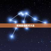 婚姻最佳配对大全，十二生肖婚姻配对大全？