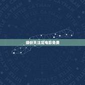 缘份天注定电影免费，求电影《缘分天注定》的中英文双字幕？