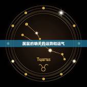 属鼠的明天的运势和运气，属狗人的婚姻与命运