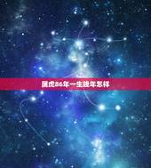 属虎86年一生晚年怎样，86年男虎第二次婚姻哪年