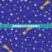 属相婚配合与不合表格图片，属相婚配