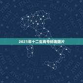2021年十二生肖号码表图片，2021年十二生肖对照表