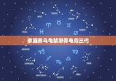 家庭养乌龟禁忌养龟穷三代，家里养乌龟有什么讲究吗