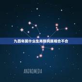 九四年属什么生肖猴狗属相合不合，1992年属猴和1994年属狗的合不合