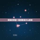 倾巢的黄蜂一轰而散是什么属相，一轰而散那个字错了