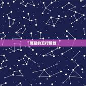 属鼠的五行属性，属鼠五行属什么