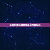 兔羊犯相吗男兔女羊适合婚配吗，男兔女羊配吗