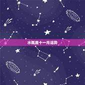 水瓶座十一月运势，水瓶座下月运势查询