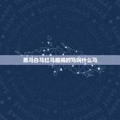 黑马白马红马相间的马叫什么马，白马非马属于什么观点