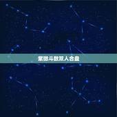 紫微斗数双人合盘，请帮看紫薇合盘