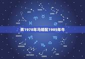 男1978年马婚配1985年牛，男1978年1月19的马和女1985年