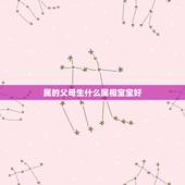 属的父母生什么属相宝宝好，父母都是属猪的生什么宝宝好