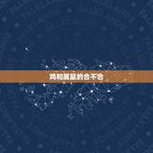 鸡和属鼠的合不合，属狗和属鼠的合不合婚