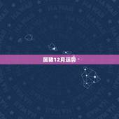 属猪12月运势，l5年属猪女阳历十二月运势
