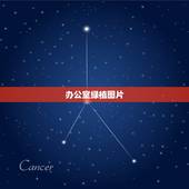 办公室绿植图片，最适合在办公室养的10种绿植是哪些