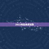 2022年生肖虎运势，2022年运势12生肖运势