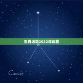 生肖运势2022年运程，2021年生肖运势大全