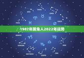 1987年属兔人2022年运势，87年兔哪年转大运
