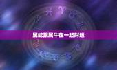 属蛇跟属牛在一起财运，男属马的和什么属相最配