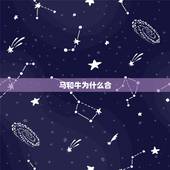 马和牛为什么合，90年马和97年牛婚配