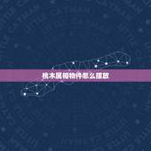 桃木属相物件怎么摆放，桃木挂件的摆放风水知多少