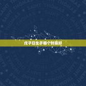 戊子日生于哪个时辰好，细说八字中的戊子日