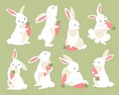 今年属兔的每个月份的运(如何把握好运)