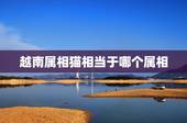 越南属相猫相当于哪个属相，哪个国家的属相里有属猫的