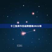 十二生肖今日运势查询2022年，十二生肖每日运势什么时候最好