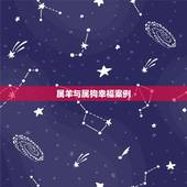 属羊与属狗幸福案例，羊和狗在一起财运好吗
