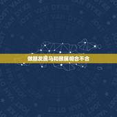 做朋友属马和猴属相合不合，属马的和属猴的可以在一起 吗