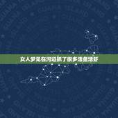 女人梦见在河边抓了很多活鱼活虾，梦见自己抓了好多活虾